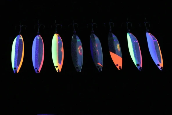 FİSHCOİN HORİZON PASLANMAZ LÜFER KAŞIĞI 22 GR - 2