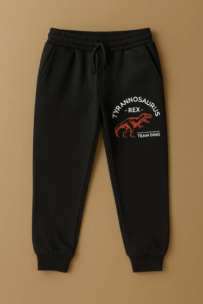 ESİLA KİDS Erkek Çocuk Takım Dinozor Baskılı Eşofman Takımı Uzun Kollu 4-13 Yaş - Resim 4