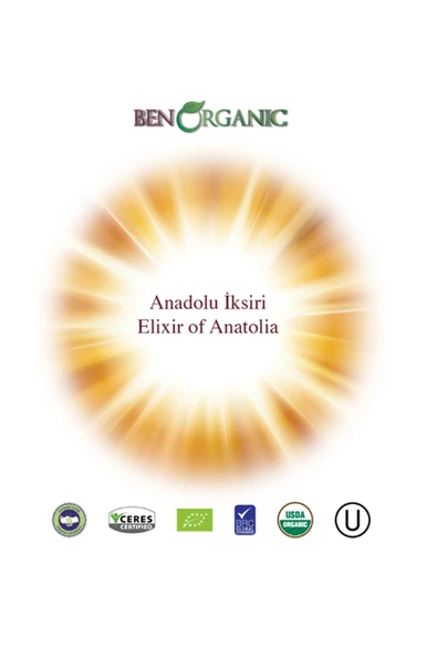 Benorganic BEN ORGANİC PORTAKAL SUYU 250 ML - 5'Lİ - Resim 5