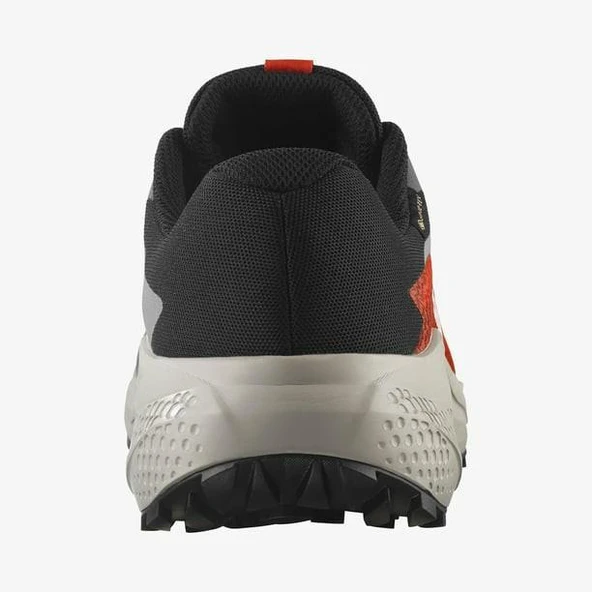 Salomon Alphaglide Gore-Tex Erkek Ayakkabı L47975300 - 3