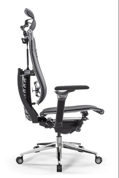 Metta Yoga Ergonomik Koltuk | Bel Destekli, Tekerlekli, Krom Ayaklı, Fileli Yönetici Koltuğu -D5.50.15.13A - Resim 3