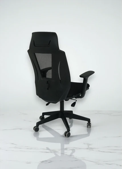 Arji Ev ve Ofis Çalışma Sandalyesi Bilgisayar Koltuğu - 3