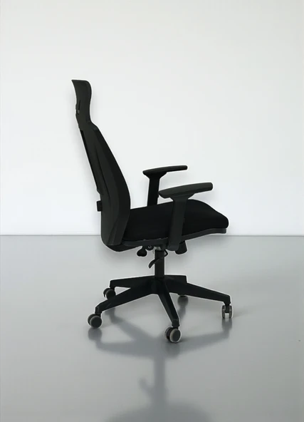 Arji Ev ve Ofis Çalışma Sandalyesi Bilgisayar Koltuğu - 2