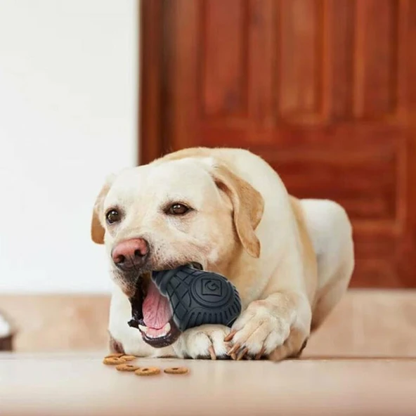 Ampul Şekilli Kauçuk Diş Kaşıyıcılı Köpek Oyuncağı - Resim 3