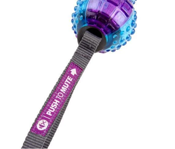 Gigwi Push To Mute Dambıl Ses Kont.18 cm Köpek Oyun - Resim 3