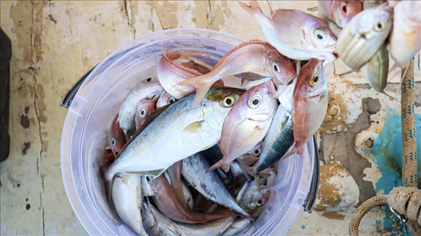 Misina İpi 300 Metre ürün görseli 1