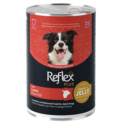 REFLEX PLUS