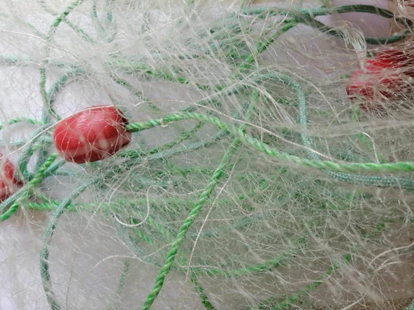 Yavru Balık Yakalama Ağı 5 Metre - 2