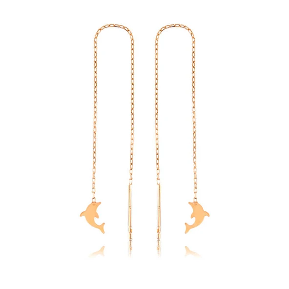 Gümüş Zincirli Yunus Balığı Küpe ürün görseli