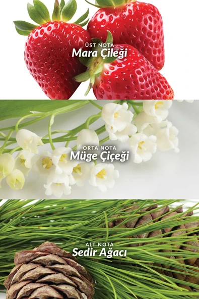 Luck Summer Sparkle Kadın Parfüm Edp 50 Ml. - Resim 4