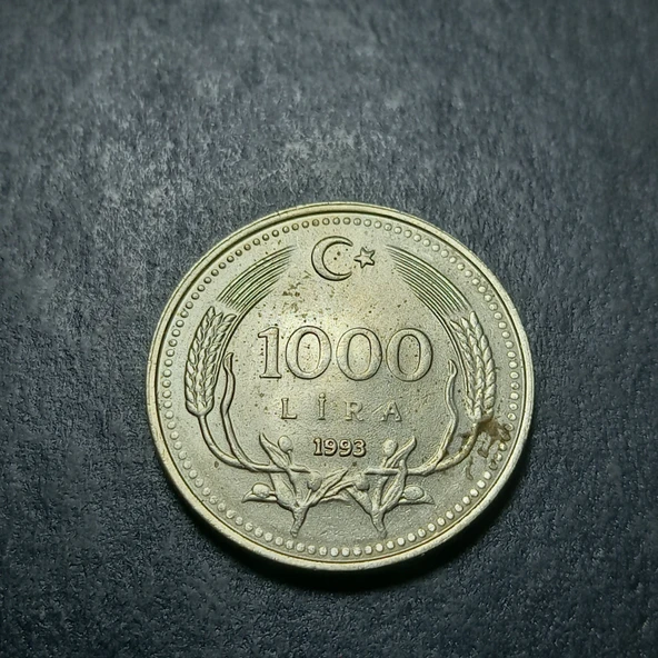 Escoines 3996368bb7325e427c 1993 1000Lira Bakır-çinko-nikel ççt+/ca para - Resim 2