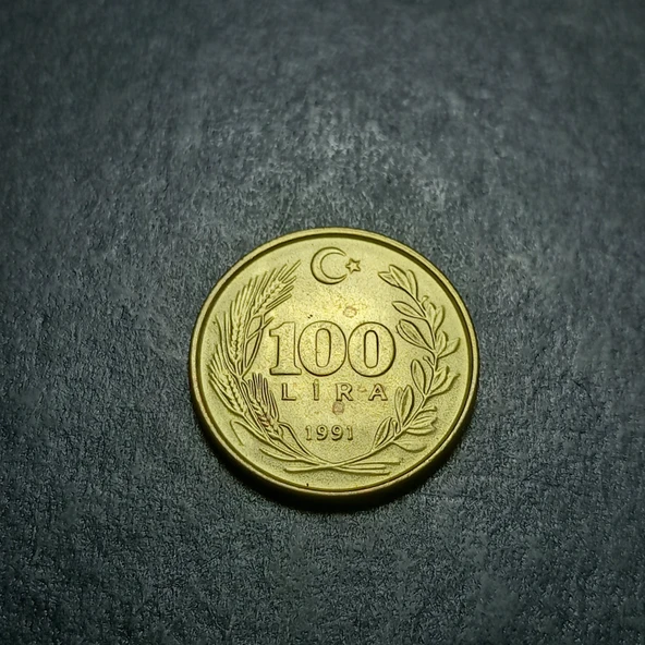 Escoines 3996368bb6ddec44b6 1991 100Lira Alüminyum bronz çil para - Resim 3