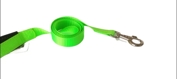 Markapet Köpek Gezdirme Kayışı 2 cm x 115 cm Yeşil - 5