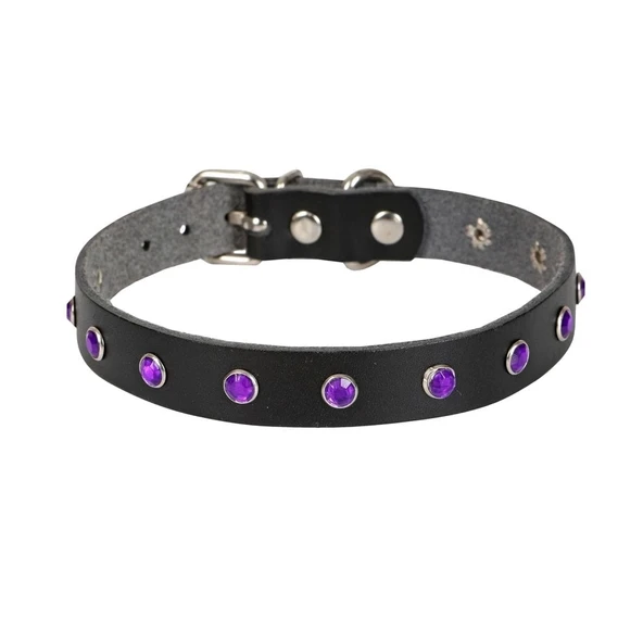 Doggie Taşlı Kedi ve Yavru Köpek Tasması 1,2x26 cm Mavi Large - Resim 6