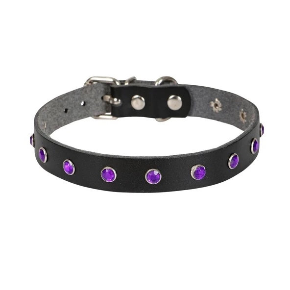 Doggie Taşlı Kedi ve Yavru Köpek Tasması 1,2x26 cm Mavi Large - Resim 4