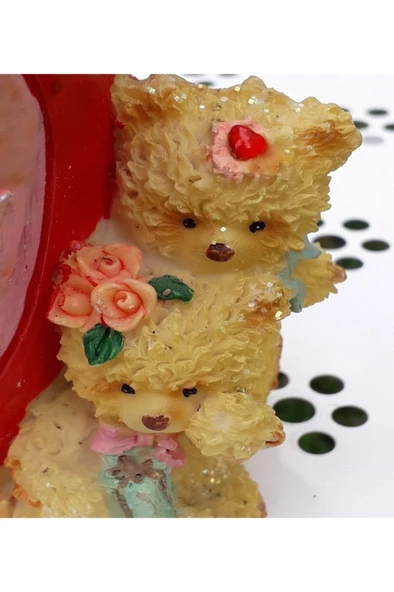 Kırmızı Ayılı Saksıda Aşkın Gözyaşı Fidanı 10-20 cm - Resim 3