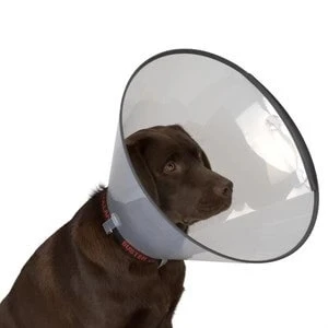 Elizabeth Köpek Yakalığı 20 CM - Resim 3