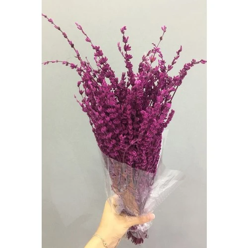 Fuşya Lavanta Çiçeği Demeti Şoklanmış Kuru Çiçek 40-50 cm ürün görseli