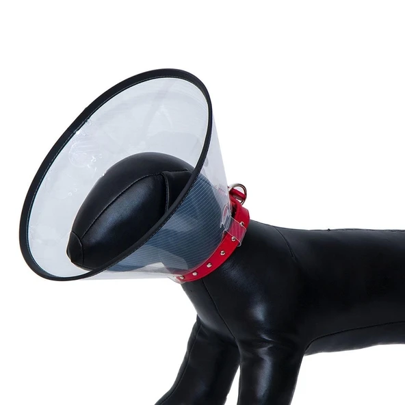 Elizabeth Köpek Yakalığı 20 CM - Resim 2