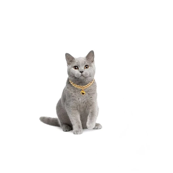 Markapet Kedi Ve Köpek Lüx Zincir Kolye 25-30 cm Medium Gold - 8