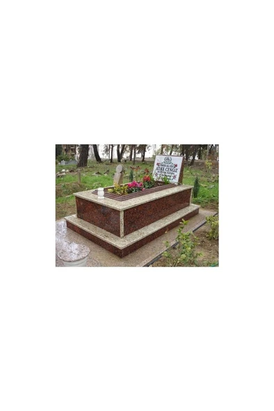 Kabristan Mezarlık Için 3 Lü Bitki Fidan Çiçek Seti 10-20 cm - Resim 4