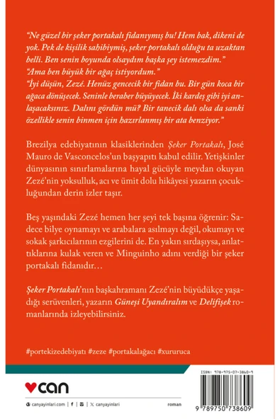 Şeker Portakalı - Resim 3