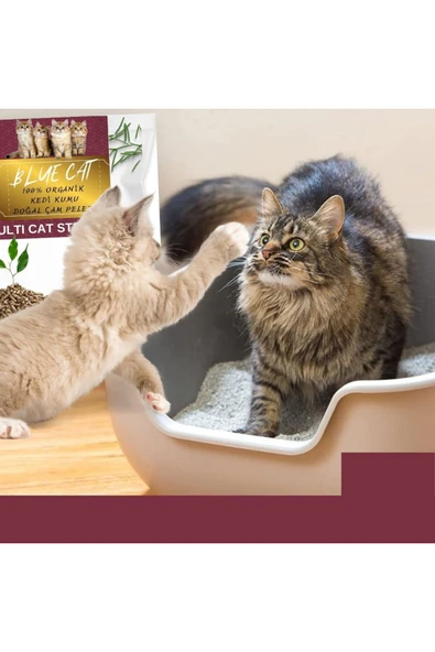 BLUECAT Çam Peleti Kedi Kumu Net 10 kg - 20 lt - Topaklanmayan %100 Organik - 2