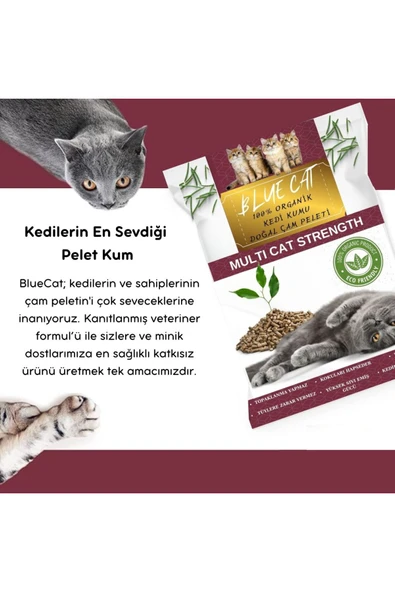 BLUECATS Çam Peleti Kedi Kumu Net 2.5 kg - 5 lt - Topaklanmayan %100 Organik Cam Peledi - 3