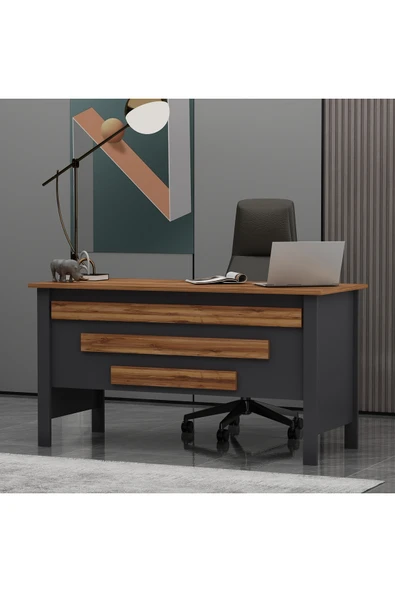 Betroya Orion Ofis Makam Çalışma Masası Antrasit Kemençe (Sandalye Dahil Değildir) - Resim 4