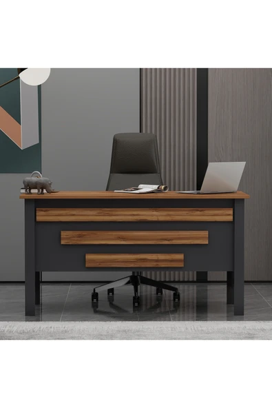 Betroya Orion Ofis Makam Çalışma Masası Antrasit Kemençe (Sandalye Dahil Değildir) - Resim 3