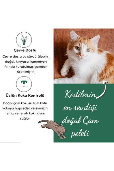 BLUECATS Çam Peleti sürüngen Kumu Net 2.5 Kg - 5 Lt - Topaklanmayan %100 Organik Cam Peledi - 3