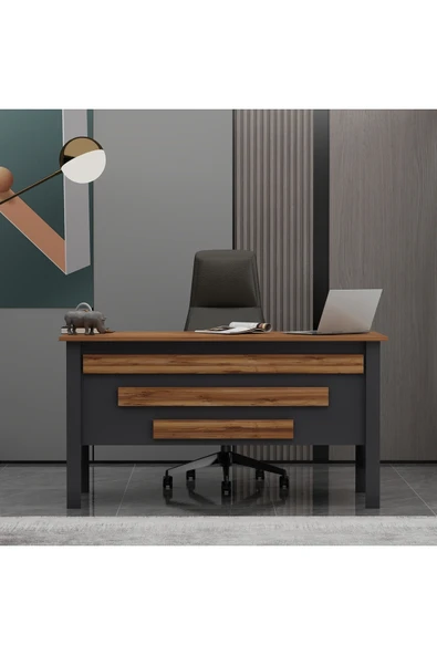 Betroya Orion Ofis Makam Çalışma Masası Antrasit Kemençe (Sandalye Dahil Değildir) - Resim 6
