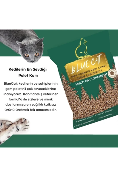 BLUECATS Çam Peleti sürüngen Kumu Net 10 Kg - 20 Lt - Topaklanmayan %100 Organik Cam Peledi - 4