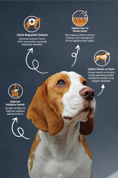 Reflex Kuzulu ve Pirinçli Yetişkin Köpek Maması, 15 Kg - 3