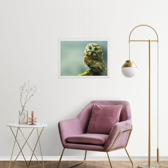 Kitap Şeyleri Beyaz Ikea Çerçeveli Baykuş Tasarım Tablo - 1