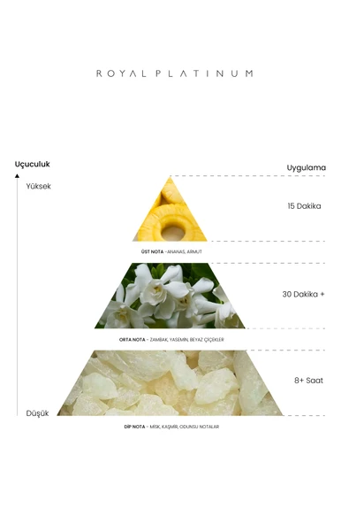 SIGNATURE 100 ML PARFÜM - Resim 3