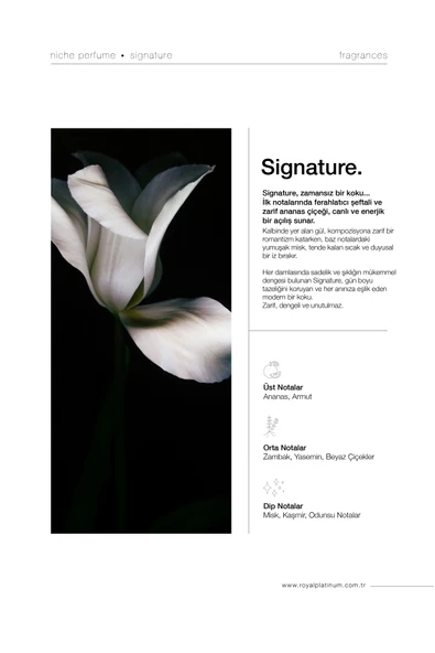 SIGNATURE 100 ML PARFÜM - Resim 2
