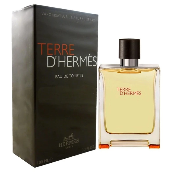 Hermes Terre De Hermes Classıc Home 100 ml ürün görseli