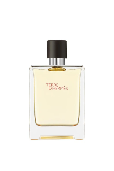 Hermes Terre d'Hermes, Eau de Toilette 100ML ürün görseli 1