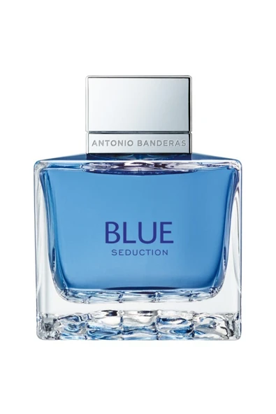 Blue Seduction Edt Erkek Parfüm 100 ml ürün görseli