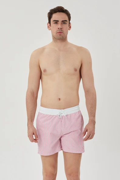 Erkek Çizgili Şort - Resim 4