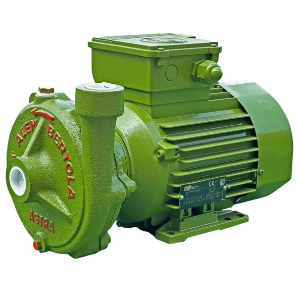 ALEM BERTOLA Astra Bahçe Su Pompası 1 Hp 220 Volt Monofaze ürün görseli