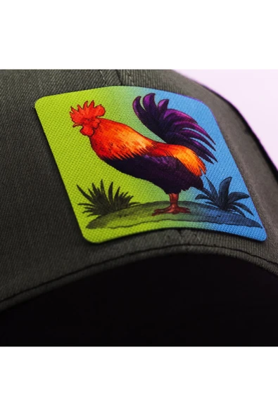Horoz Figürlü Hayvan Desenli Siyah Beyzbol Şapka Unisex - 3