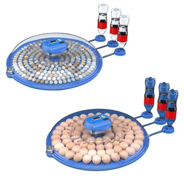 80 Tavuk 240 Kuş Yumurta Kapasiteli Çift Viyollü Kuluçka Makinesi - Kaz, Ördek, Tavuk, Bıldırcın İçin - Resim 7