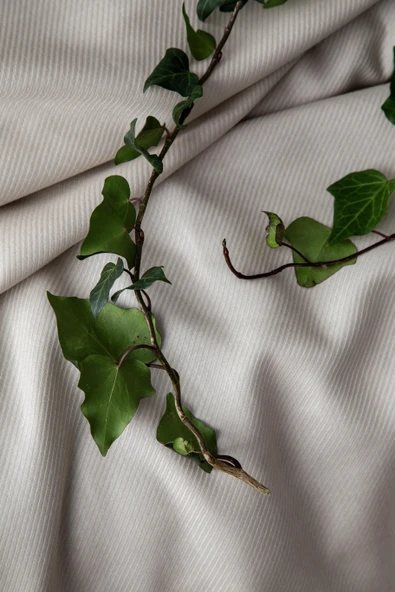 Tek Kişilik Tanya Bej Nevresimli Bambu Pike Takımı - 3