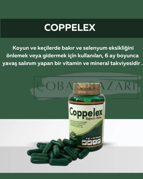 Coppolex Capsule Bolus 50 Kapsül Bakır Ve Selenyum Bolusu ürün görseli