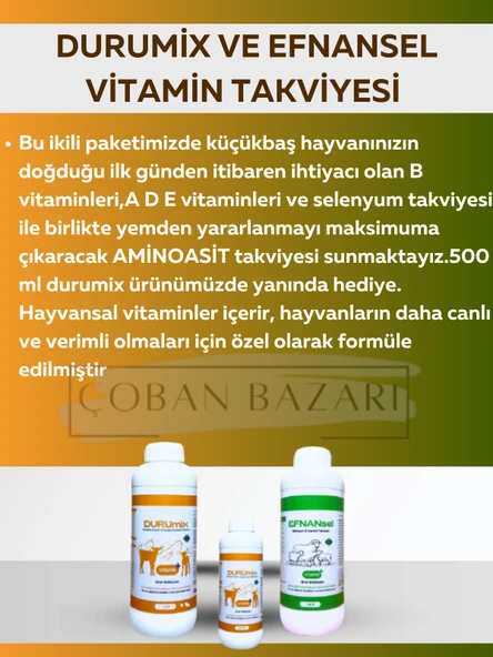 Durumix 1 LİTRE VİTAMİN TAKVİYESİ EFNANsel 1 LİTRE VİTAMİN TAKVİYESİ (500 ML DURUMİX HEDİYE) ürün görseli