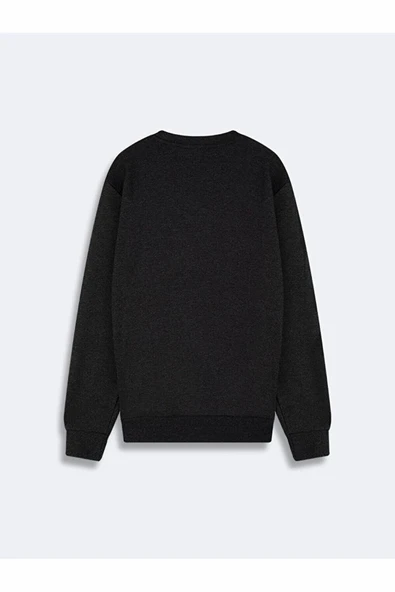 Ltb Fısıdı New Erkek Sweat - 2