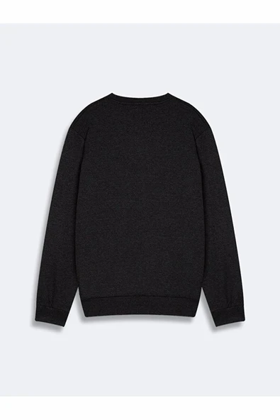 Ltb Nikewa Erkek Sweat - Resim 3