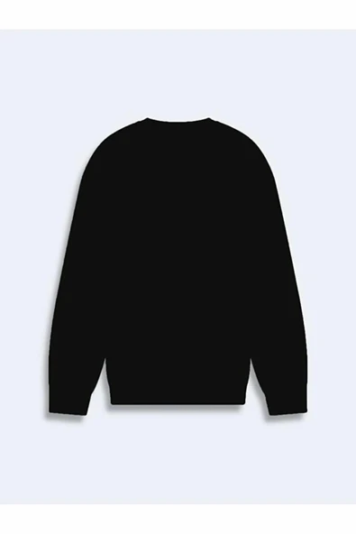 Ltb Lodita New Erkek Sweat - 2